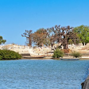 Safari ornitho photographique Joal