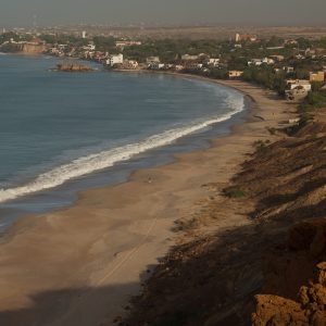 Safari ornitho photographique Popenguine