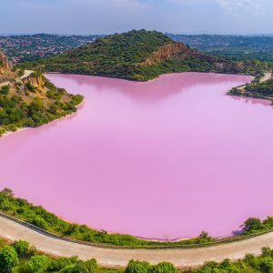 Safari ornitho photographique lac Rose