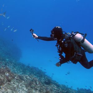 Sortie snorkeling encadrée Dakar