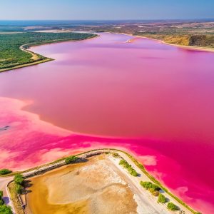 Randonnée découverte nature Lac rose