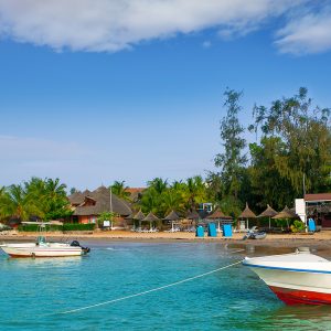 Atelier, marché, cuisine, village Saly