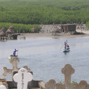 Excursion à Joal Fadiouth et au delta du Saloum