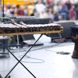 Cours de percussions (djembé sabar) Ngaparou