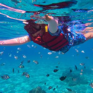 Sortie snorkeling encadrée Agadir