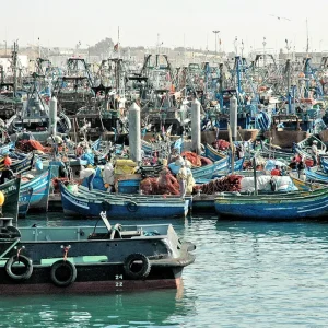 Visite guidée du port de pêche d’Agadir