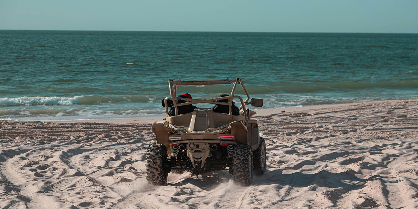 quad buggy (2)